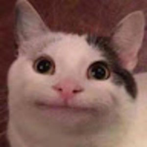 Meet your Posher, Angelina